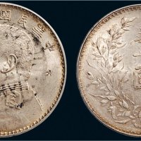 民国八年（1919年）袁世凯像壹圆银币（LM76）