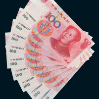 第五版人民币壹佰圆九枚