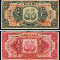 民国十八年（1929年）云南富滇新银行伍拾圆、壹佰圆各一枚