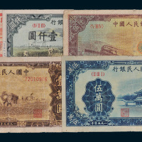 第一版人民币一组五十一枚