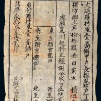 万历二十七年（1599年）汀州府（福建）清流县清丈归户单