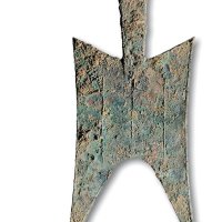 无文大型耸肩尖足空首布