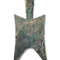 “T”大型耸肩尖足空首布