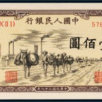 第一版人民币壹佰圆驮运