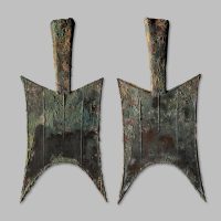 “中一”大型耸肩尖足空首布