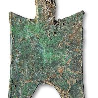 小型耸肩尖足空首布