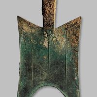大型耸肩尖足空首布