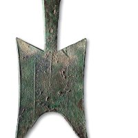无文大型耸肩尖足空首布