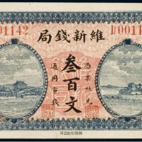 民国十四年（1925年）宁远维新钱局叁百文