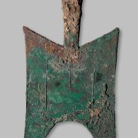 大型耸肩尖足空首布