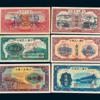 第一版人民币样票一组五十种