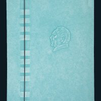 2001年邓小平头像水印纸一枚