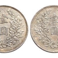 民国九年（1920年）袁世凯像壹圆银币合背