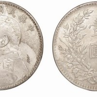 1919年民国八年袁世凯像壹圆