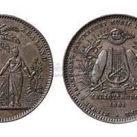 1881年新西兰铜质代用币土著女铜币