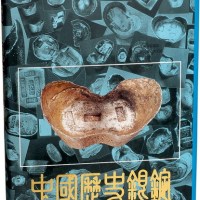 《中国历史银锭》精装一册