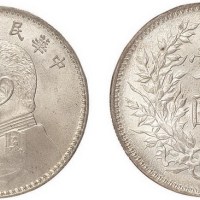 1920年民国九年袁世凯像壹圆银币（LM77）