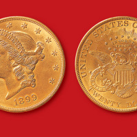 1899年美国20元金币