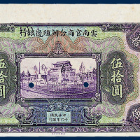 云南官商合办殖边银行伍拾元单面打孔样票一枚