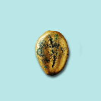 大型包金贝