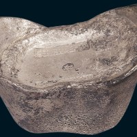 清代山东“东海关”五十两银锭