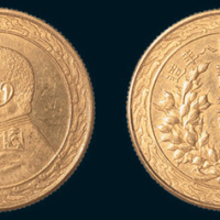 民国八年（1919年）袁世凯像贰拾元金币