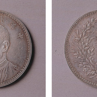 民国三年（1914年）袁世凯侧面像壹圆银币一枚