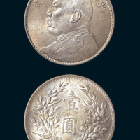 民国八年（1919年）袁世凯像壹圆