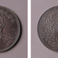 段祺瑞执政纪念币一枚