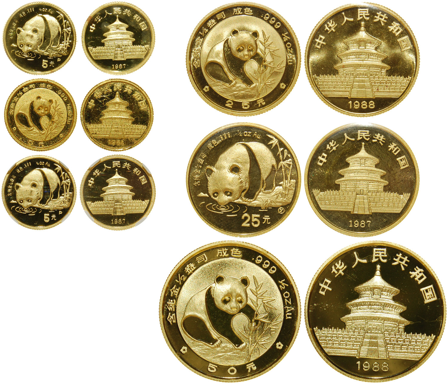 1987年熊猫P版精制纪念金币1/20盎司等6枚 NGC PF 68
