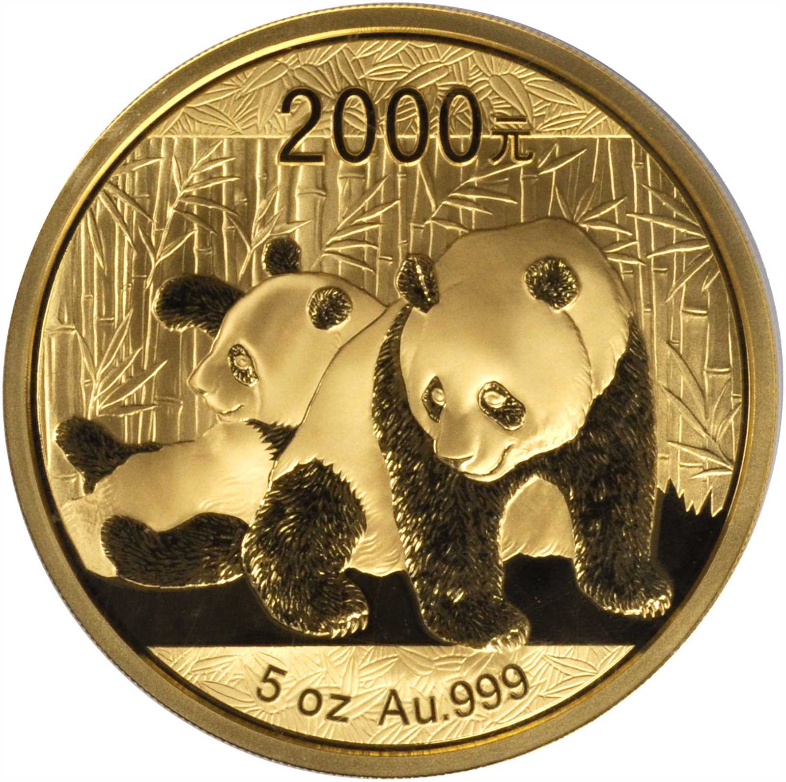 2010年熊猫纪念金币5盎司 NGC PF 70