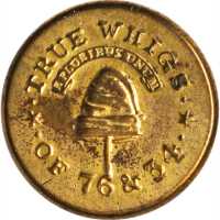 1834 Congressional Election Button. DeWitt-CE 1834-unlisted. Gilt Brass. 12 mm. About Uncirculated.