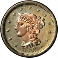 Lot of (5) 1856 Braided Hair Cents.