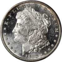 Lot of (2) Mint State Morgan Silver Dollars. (PCGS).