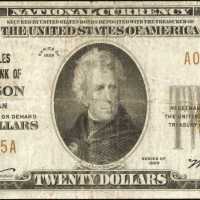 Bronson, Michigan. $20 1929 Ty. 1. Fr. 1802-1. The Peoples NB. Charter #9704. Fine.