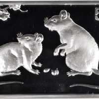 2008年戊子(鼠)年生肖纪念银币5盎司长方形 NGC PF 68