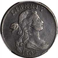 1802 Draped Bust Cent. S-231. Rarity-1. Stemless Wreath. VF Details--Environmental Damage (PCGS).