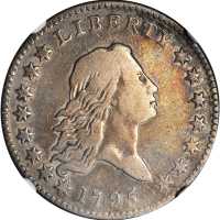 1795 Flowing Hair Half Dollar. O-110, T-21. Rarity-3. Two Leaves. Fine-12 (NGC).