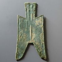 大型尖足布蔺