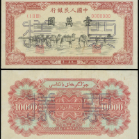 1951年一版人民币10000元（骆驼队）正反面样钞一对，分别评PCGS40 Details 及62 Details， 少见