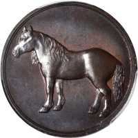 天津造币厂二十文型骏马代用币 PCGS MS 65