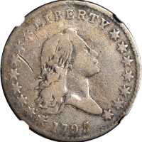 1795 Flowing Hair Half Dollar. O-130, T-8. Rarity-5-. Two Leaves. Fine Details--Scratches (NGC).