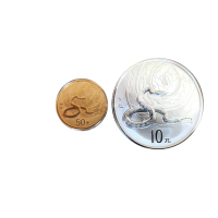 2013年癸巳(蛇)年生肖纪念彩色金银纪念币一套2枚 完未流通