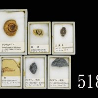 1970年代日本化石样本六件，带原盒1970s Japanese Fossil samples, 6pcs with orig cases. SOLD AS IS/NO RETURN.