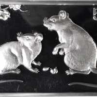 2008年戊子(鼠)年生肖纪念银币5盎司长方形 NGC PF 69