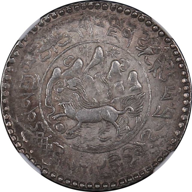 西藏桑松果木三两普通 NGC AU 50