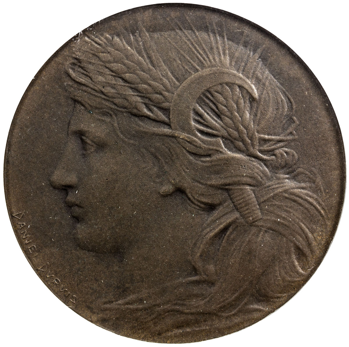 US Coins, Tokens & Medals，UNITED STATES:1904, bronze medal, H-30-270, NGC graded MS65, Louisiana Pur