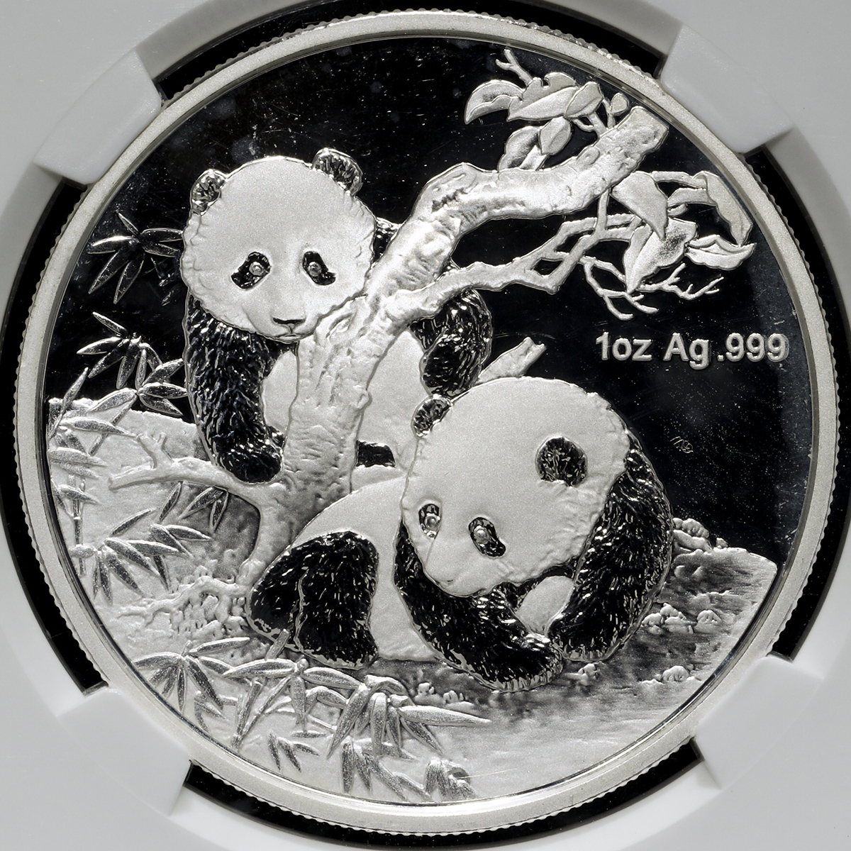 2013年世界钱币博览会柏林纪念银币1盎司 NGC PF 69