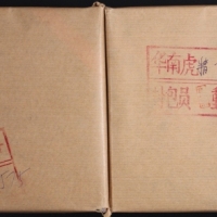  1996年华南虎/白鳍豚精制币（原包）