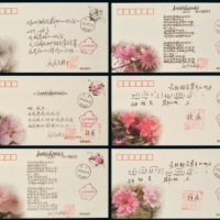  FDC 2013年桃花邮票首日封十二件